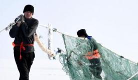 新疆烏倫古湖迎來“冬捕”季